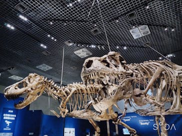 特別展「恐竜博2023」に投稿された画像（2023/4/6）