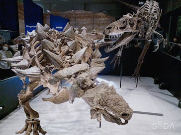 特別展「恐竜博2023」に投稿された画像（2023/4/6）