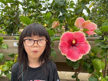 美らヤシパークオキナワ・東南植物楽園に投稿された画像（2023/4/6）