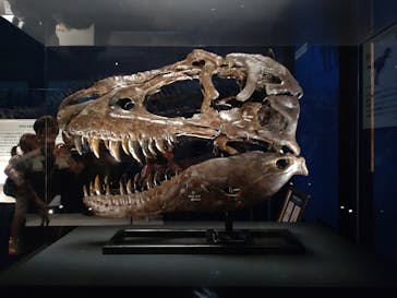 特別展「恐竜博2023」に投稿された画像（2023/4/6）