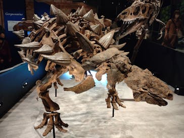 特別展「恐竜博2023」に投稿された画像（2023/4/6）