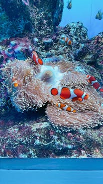 登別マリンパークニクスに投稿された画像（2023/4/6）