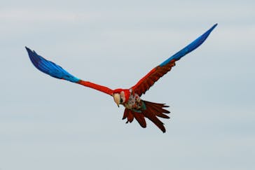 神戸どうぶつ王国に投稿された画像（2023/4/6）