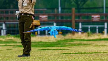 神戸どうぶつ王国に投稿された画像（2023/4/6）