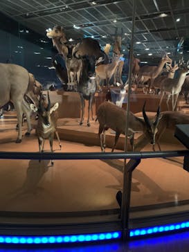 国立科学博物館に投稿された画像（2023/4/6）