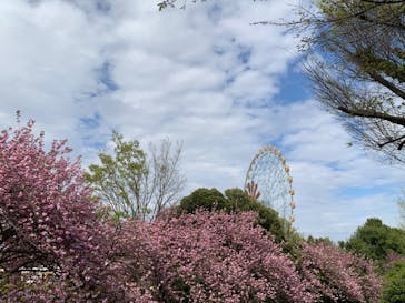東武動物公園に投稿された画像（2023/4/6）