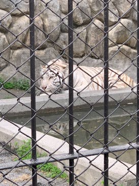 東武動物公園に投稿された画像（2023/4/6）