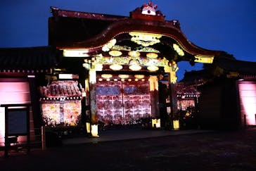 『NAKED FLOWERS 2023 桜 世界遺産・二条城』に投稿された画像（2023/4/6）