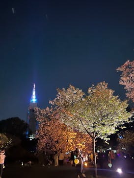 NAKED 桜の新宿御苑 2023に投稿された画像（2023/4/6）