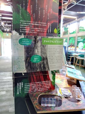 比謝川カヤックに投稿された画像（2023/4/6）