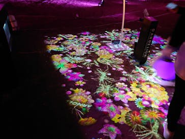 NAKED 桜の新宿御苑 2023に投稿された画像（2023/4/6）