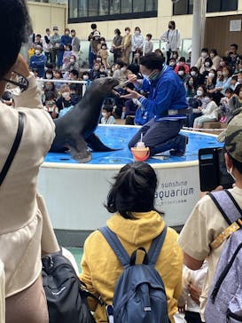 サンシャイン水族館に投稿された画像（2023/4/6）