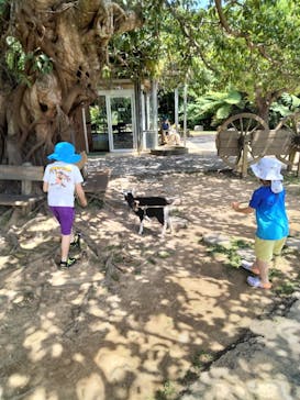 ビオスの丘に投稿された画像（2023/4/6）