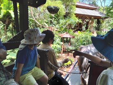 ビオスの丘に投稿された画像（2023/4/6）