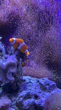 新江ノ島水族館に投稿された画像（2023/4/6）