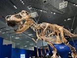 特別展「恐竜博2023」に投稿された画像（2023/4/6）