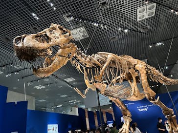 特別展「恐竜博2023」に投稿された画像（2023/4/6）