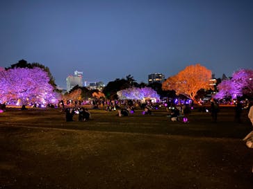 NAKED 桜の新宿御苑 2023に投稿された画像（2023/4/6）