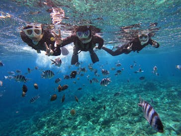 DIVING-SHOP SUNSに投稿された画像（2023/4/6）