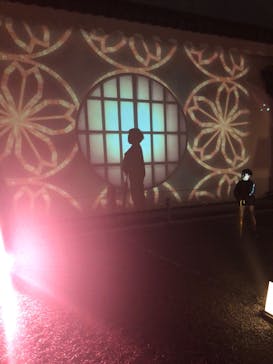 『NAKED FLOWERS 2023 桜 世界遺産・二条城』に投稿された画像（2023/4/6）