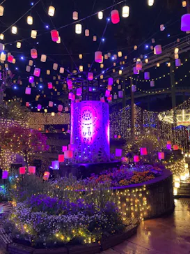 ひらかたパークに投稿された画像（2023/4/6）