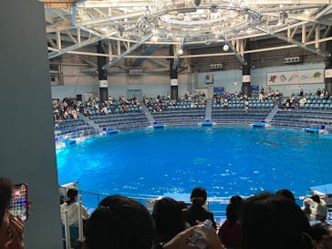 マクセル アクアパーク品川に投稿された画像（2023/4/6）