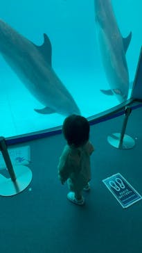 名古屋港水族館に投稿された画像（2023/4/6）
