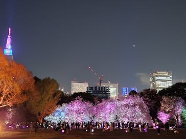 NAKED 桜の新宿御苑 2023に投稿された画像（2023/4/6）