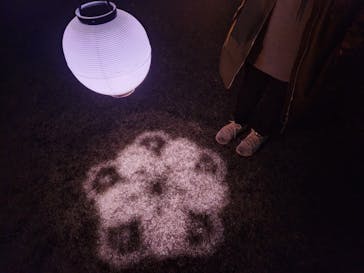 NAKED 桜の新宿御苑 2023に投稿された画像（2023/4/6）