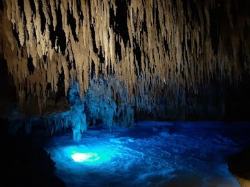 おきなわワールドに投稿された画像（2023/4/6）