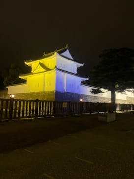 『NAKED FLOWERS 2023 桜 世界遺産・二条城』に投稿された画像（2023/4/6）