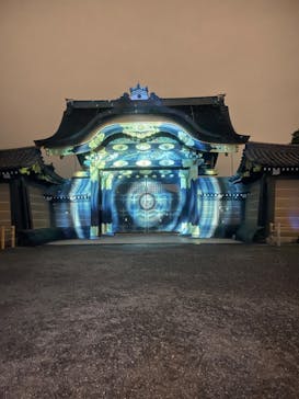 『NAKED FLOWERS 2023 桜 世界遺産・二条城』に投稿された画像（2023/4/6）