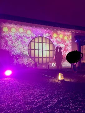 『NAKED FLOWERS 2023 桜 世界遺産・二条城』に投稿された画像（2023/4/6）