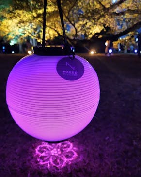 NAKED 桜の新宿御苑 2023に投稿された画像（2023/4/6）