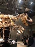 特別展「恐竜博2023」に投稿された画像（2023/4/7）