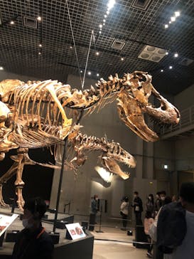 特別展「恐竜博2023」に投稿された画像（2023/4/6）