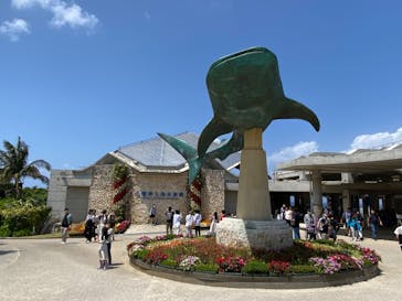 沖縄美ら海水族館に投稿された画像（2023/4/6）