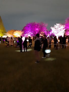 NAKED 桜の新宿御苑 2023に投稿された画像（2023/4/6）