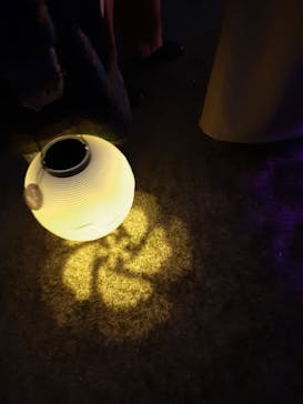 NAKED 桜の新宿御苑 2023に投稿された画像（2023/4/6）