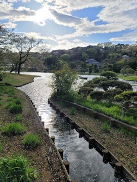 三溪園に投稿された画像（2023/4/6）
