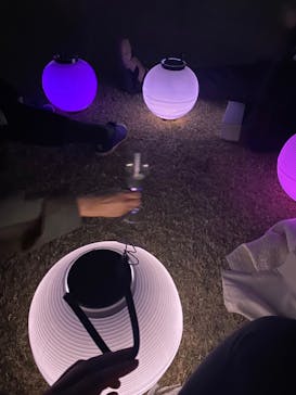 NAKED 桜の新宿御苑 2023に投稿された画像（2023/4/6）