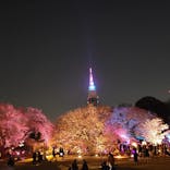 NAKED 桜の新宿御苑 2023に投稿された画像（2023/4/7）