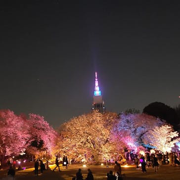 NAKED 桜の新宿御苑 2023に投稿された画像（2023/4/6）