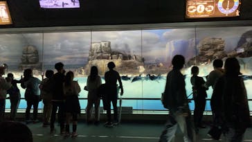 名古屋港水族館に投稿された画像（2023/4/6）