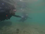 武藤潜水に投稿された画像（2023/4/7）