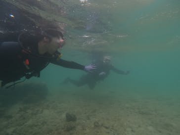 武藤潜水に投稿された画像（2023/4/7）