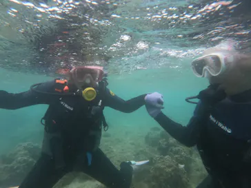 武藤潜水に投稿された画像（2023/4/7）