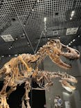 特別展「恐竜博2023」に投稿された画像（2023/4/7）