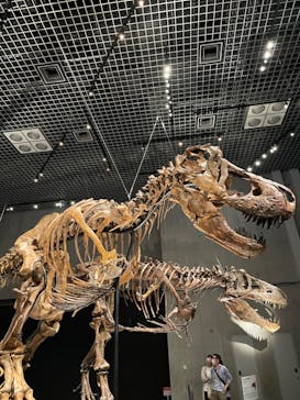 特別展「恐竜博2023」に投稿された画像（2023/4/7）