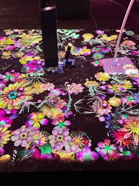 NAKED 桜の新宿御苑 2023に投稿された画像（2023/4/7）